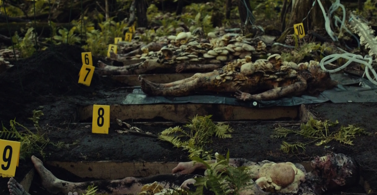 Hannibal - Season 1 Hannibal - Season 1