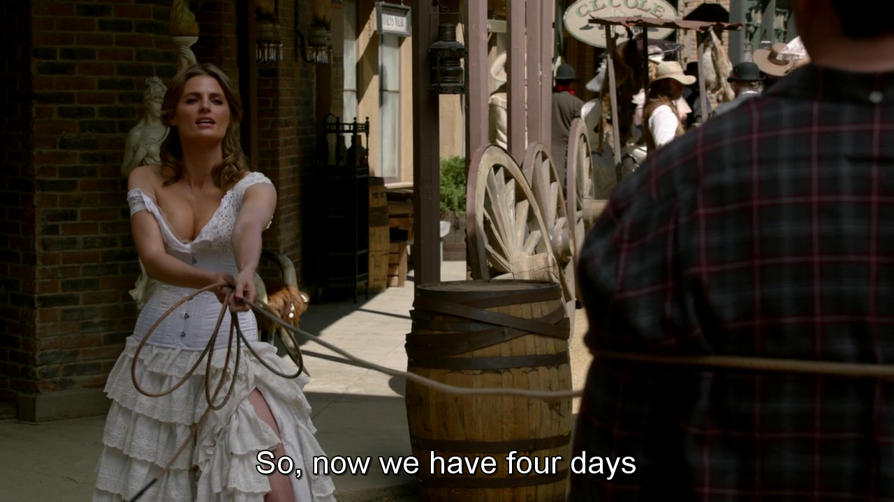 Stana Katic as Kate Beckett