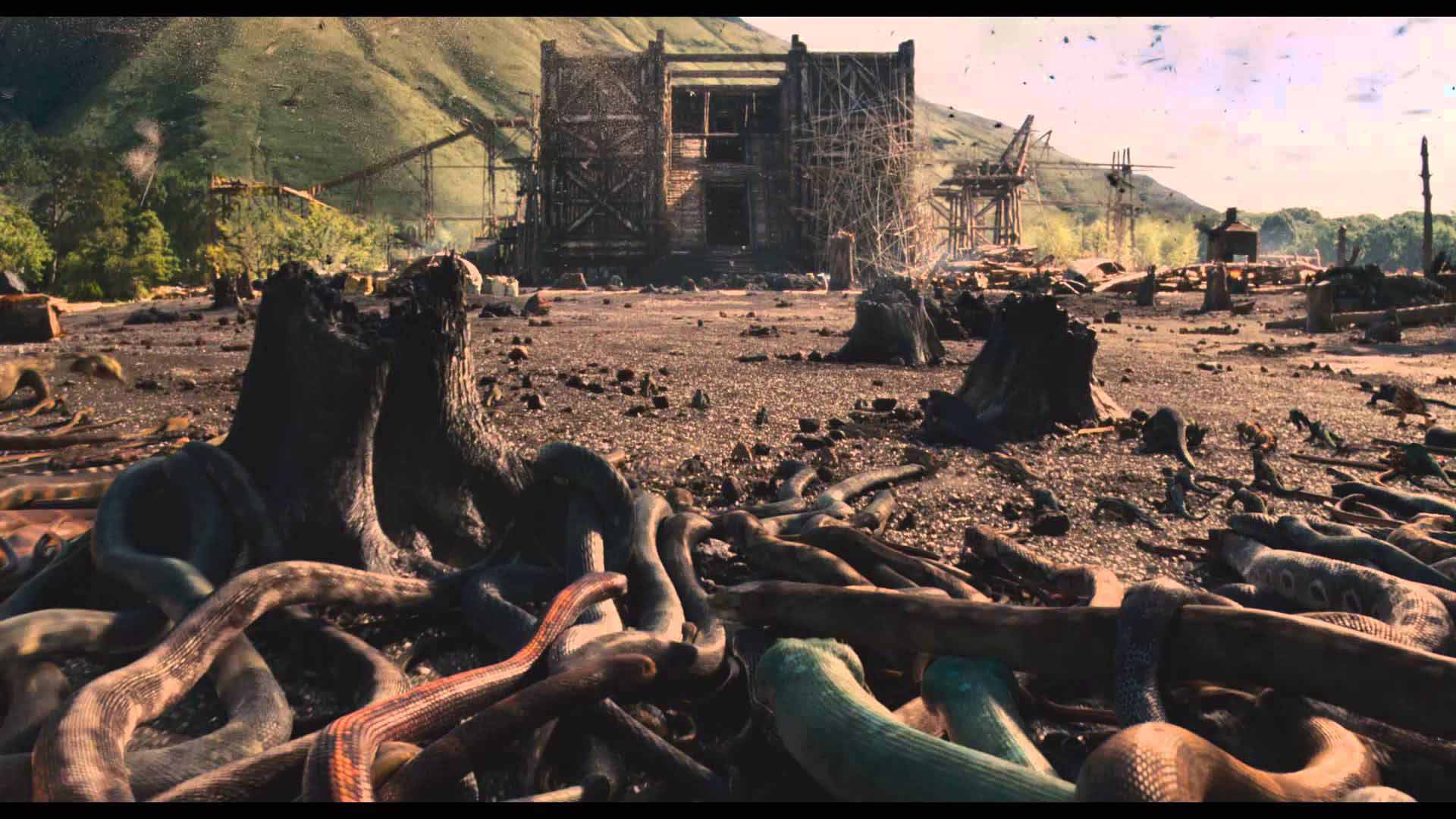 Noah 2014